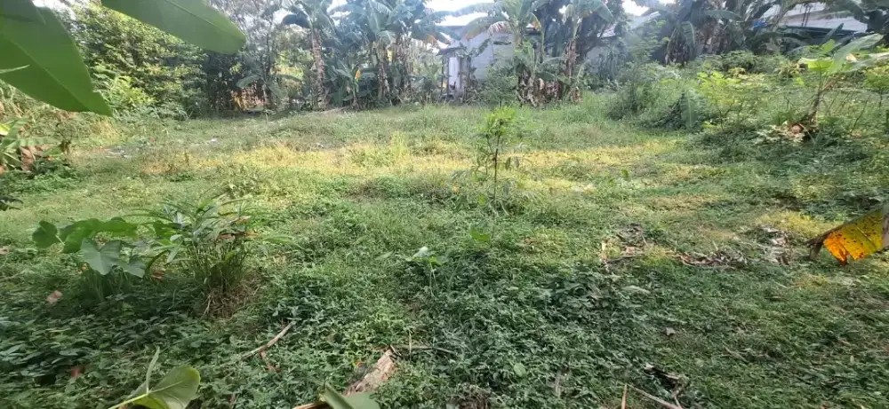 Dijual sebidang tanah dengan luas 1.200m² di daerah Kabupaten Bogor