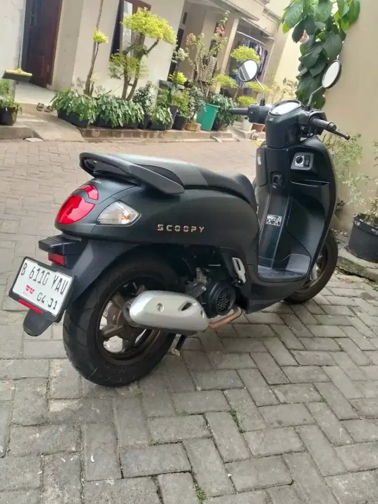 Scoopy prestige ready pakai