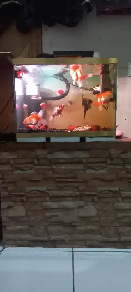 Aquarium pullset
