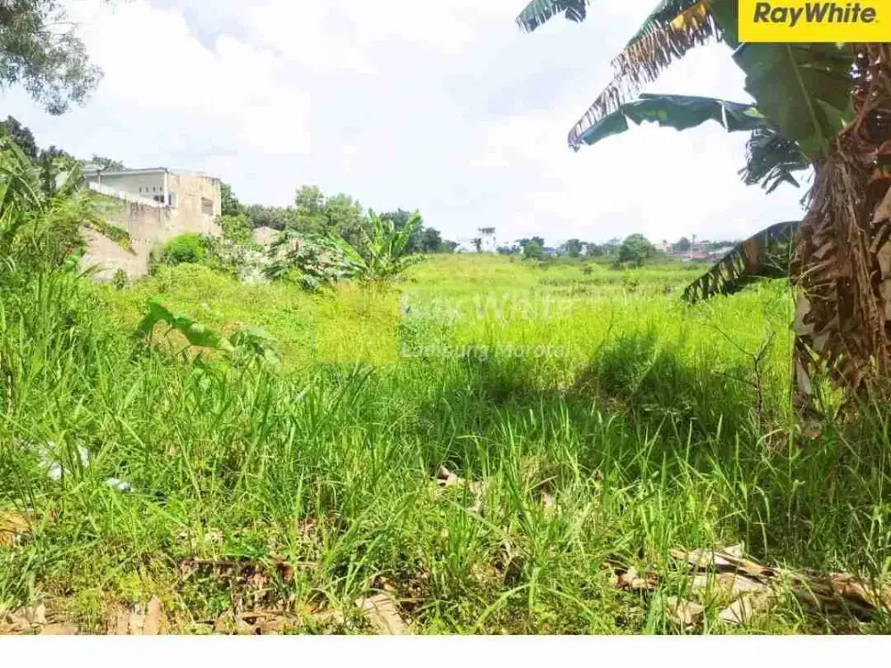 Di Jual Tanah Pantai