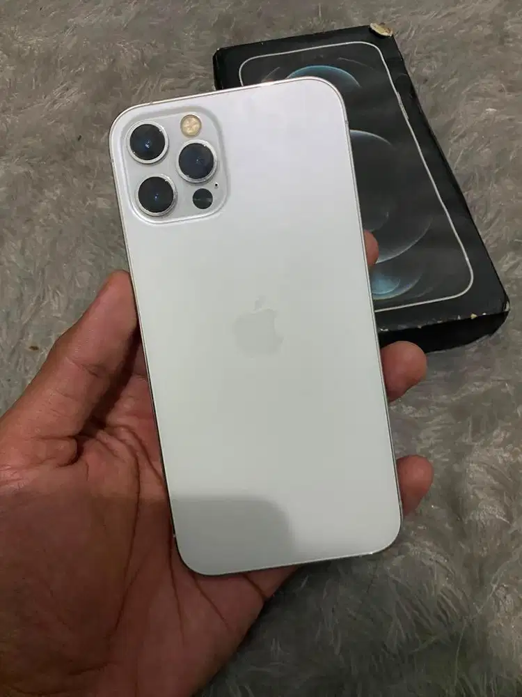 Iphone 12 pro 256gb beacukai