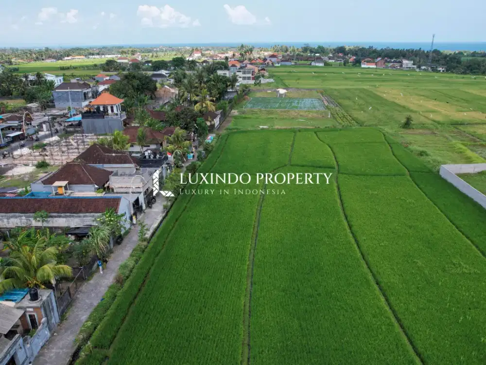 DIJUAL TANAH SELUAS 6 ARE DI KEDUNGU