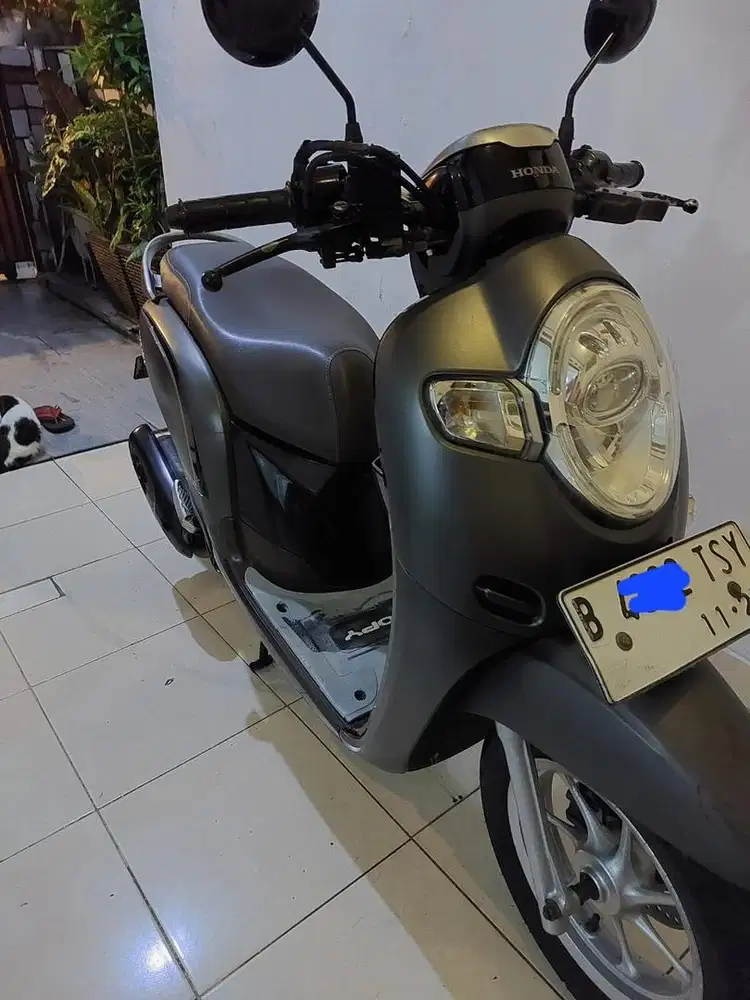 Honda Scoopy 2017