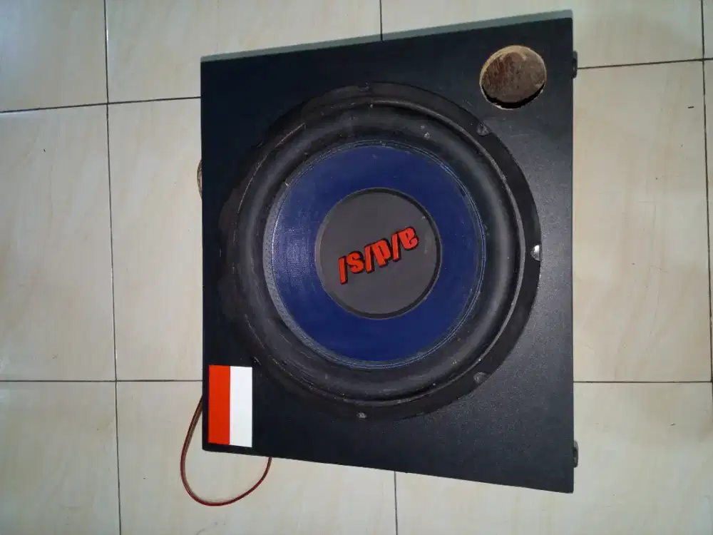 Speaker ADS 12 inc