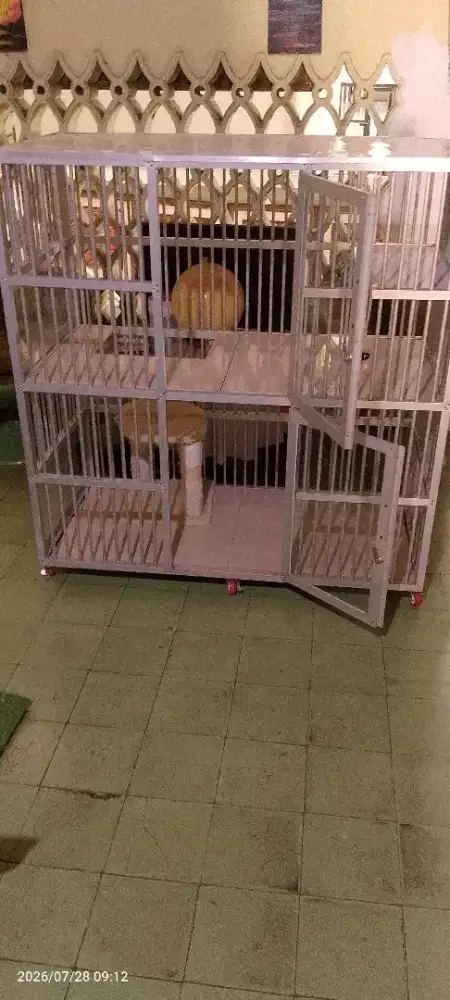 Kandang kucing 2 tingkat besar