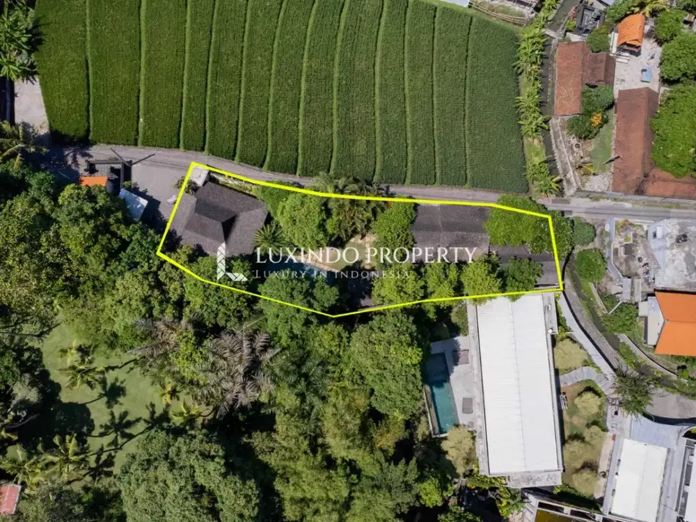 DIJUAL VILLA DENGAN 2 KAMAR TIDUR DI PERERENAN - Thumbnail 2