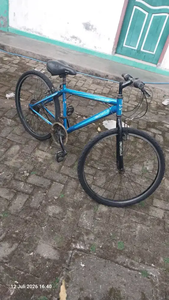 Sepeda Wimcycle