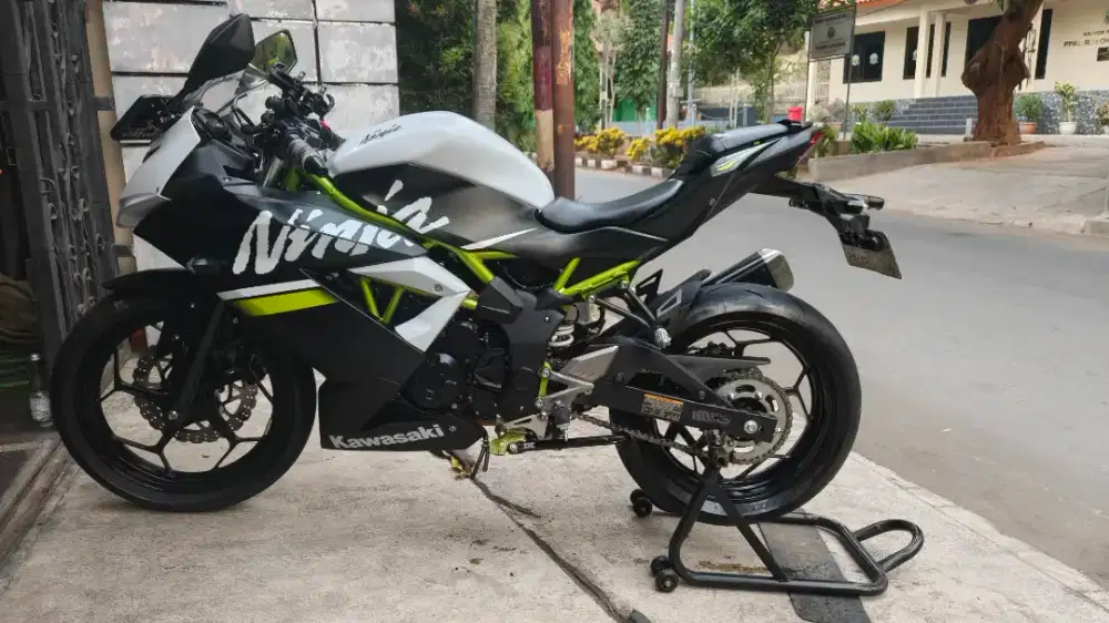 Kawasaki Ninja 250 SL Mono