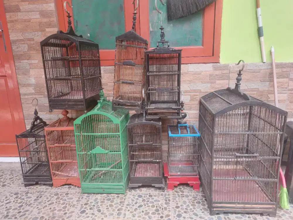 Kandang sangkar kolibri konin ciblek burcil pleci