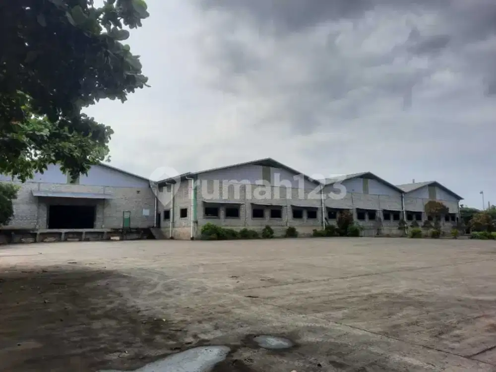 Pabrik Kayu di Kecamatan Grinsing, Batang, Jawa Tengah, Batang