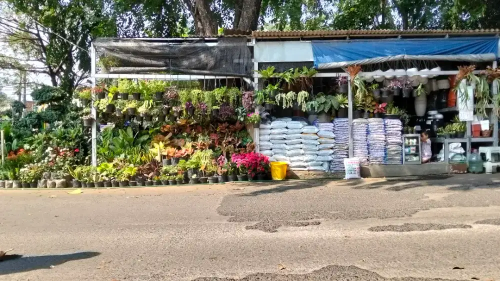 Tanaman hias,rumput,bonsai,batu alam,dan pasang taman