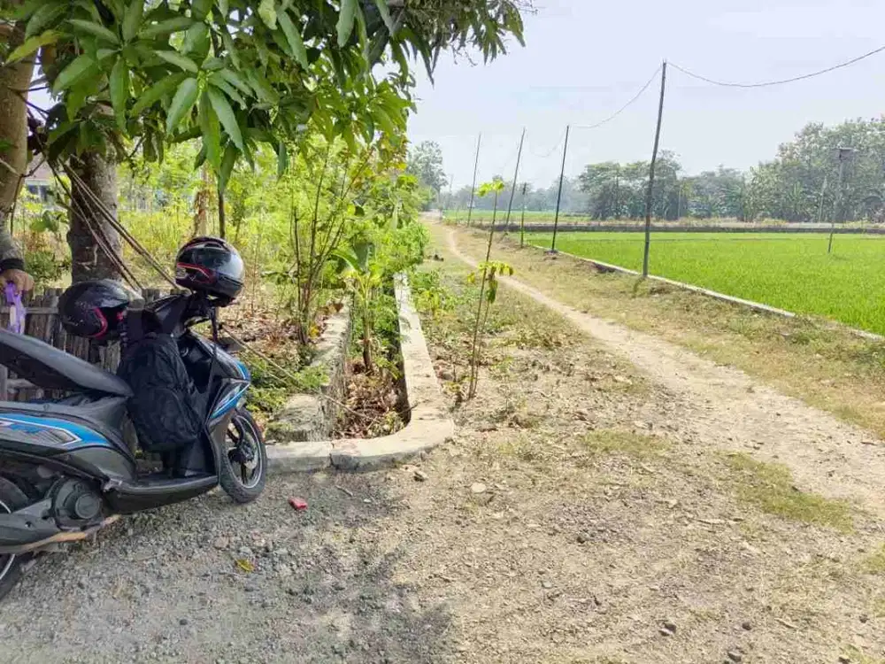 kavling Kedungupit kec Sragen