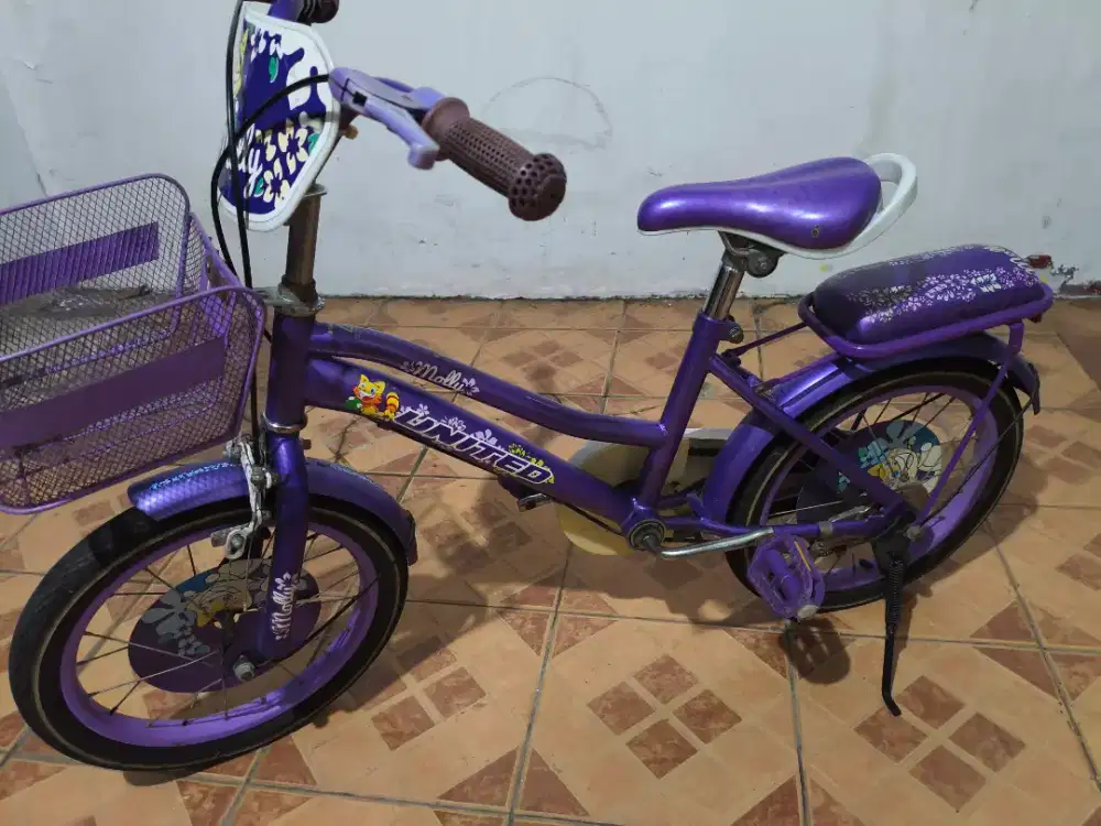 Jual sepeda anak United Molly