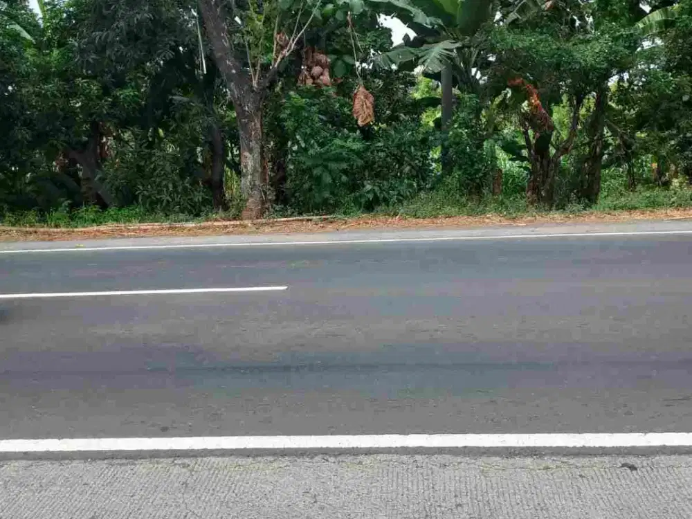DIJUAL TANAH LOKASI PASURUAN