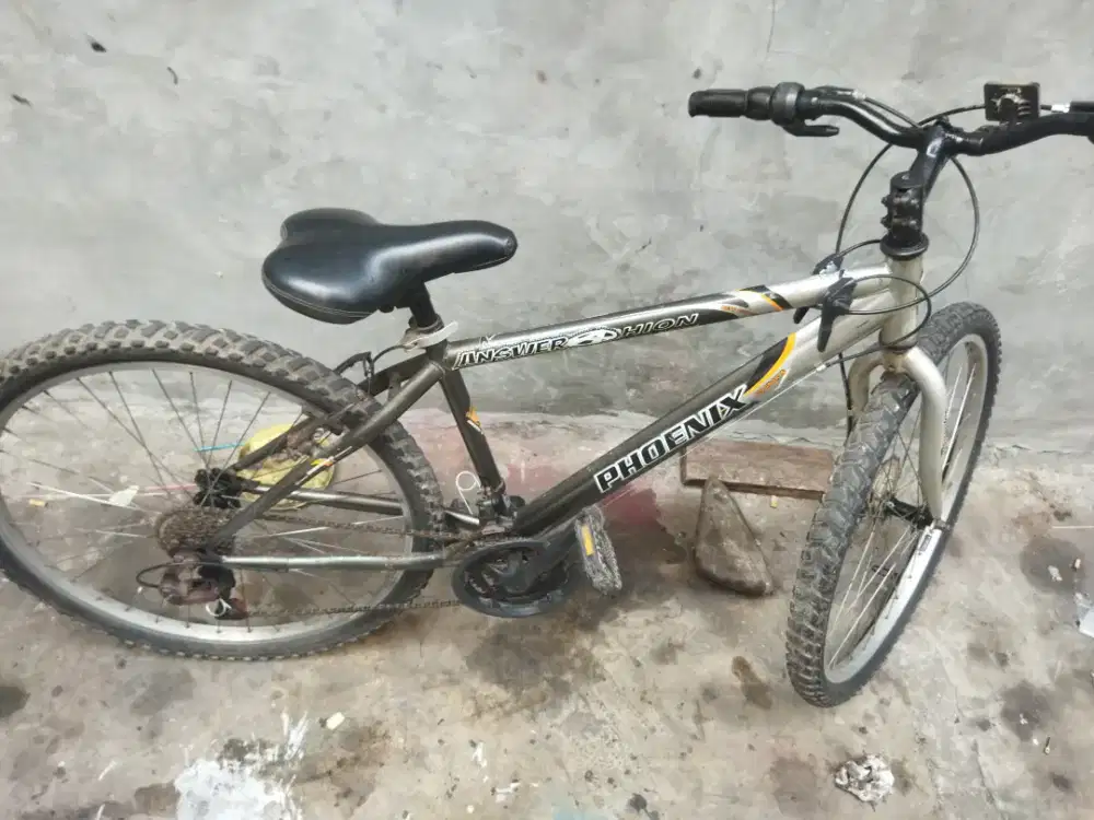 Sepeda gunung model jadul 26