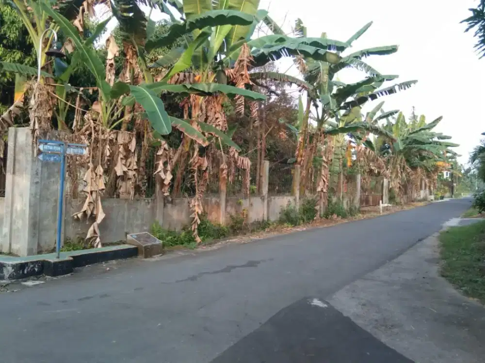 Jual Tanah Tirtomartani Kalasan