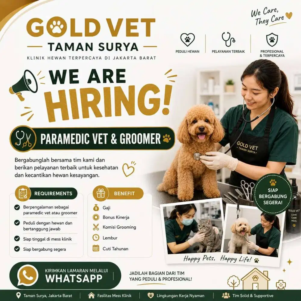 Lowongan Kerja Paramedic Vet dan Groomer