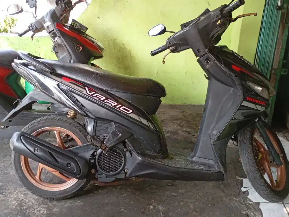 Vario Karbu 110 2011