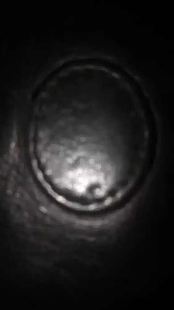Dompet logo V Kulit Tebal Banyak Anak Kantong