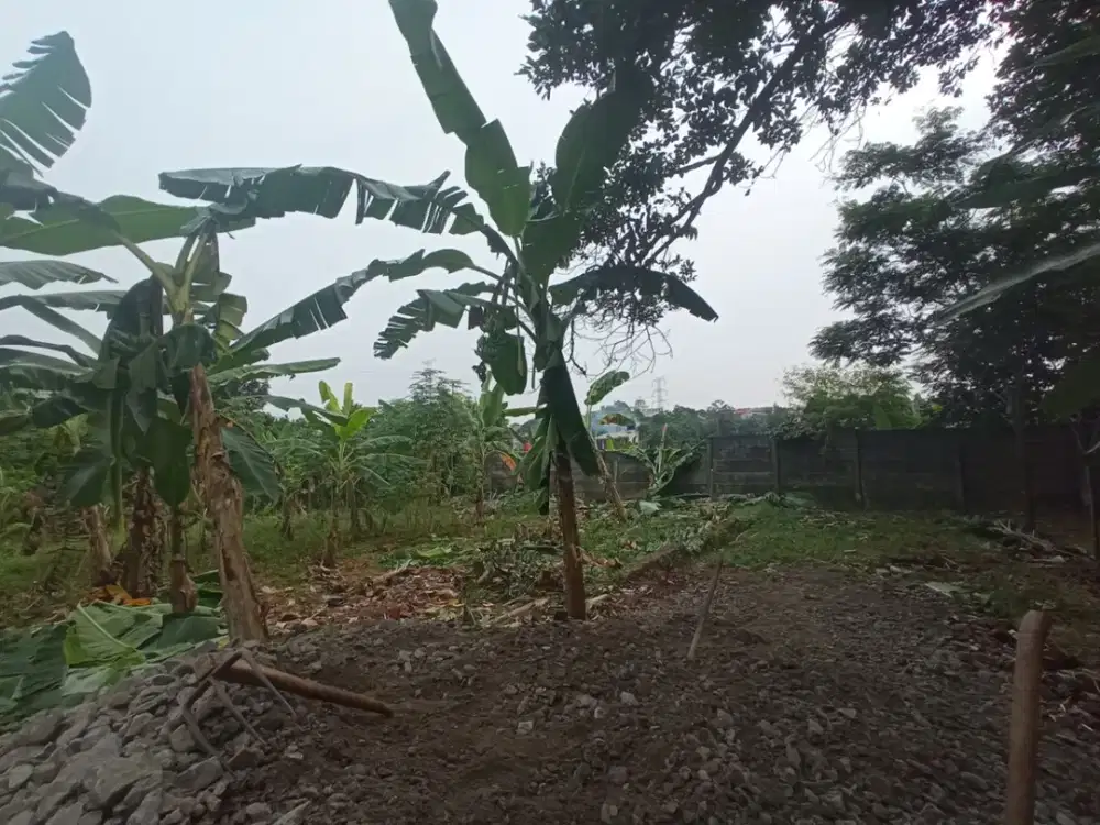 Tanah Murah Cinangka Depok, Dekat Shilla At Sawangan, Bisa Cicil 12x