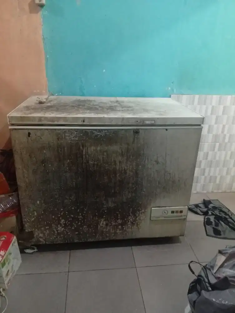 Freezer merk Bream 310lt