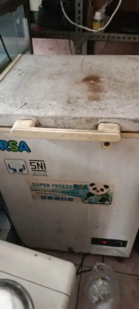 Frezer Box RSA 100 LITER