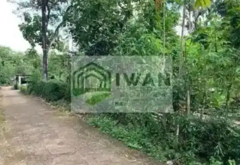 Tanah Pekarangan Luas & Murah Ada Pohon Buahnya