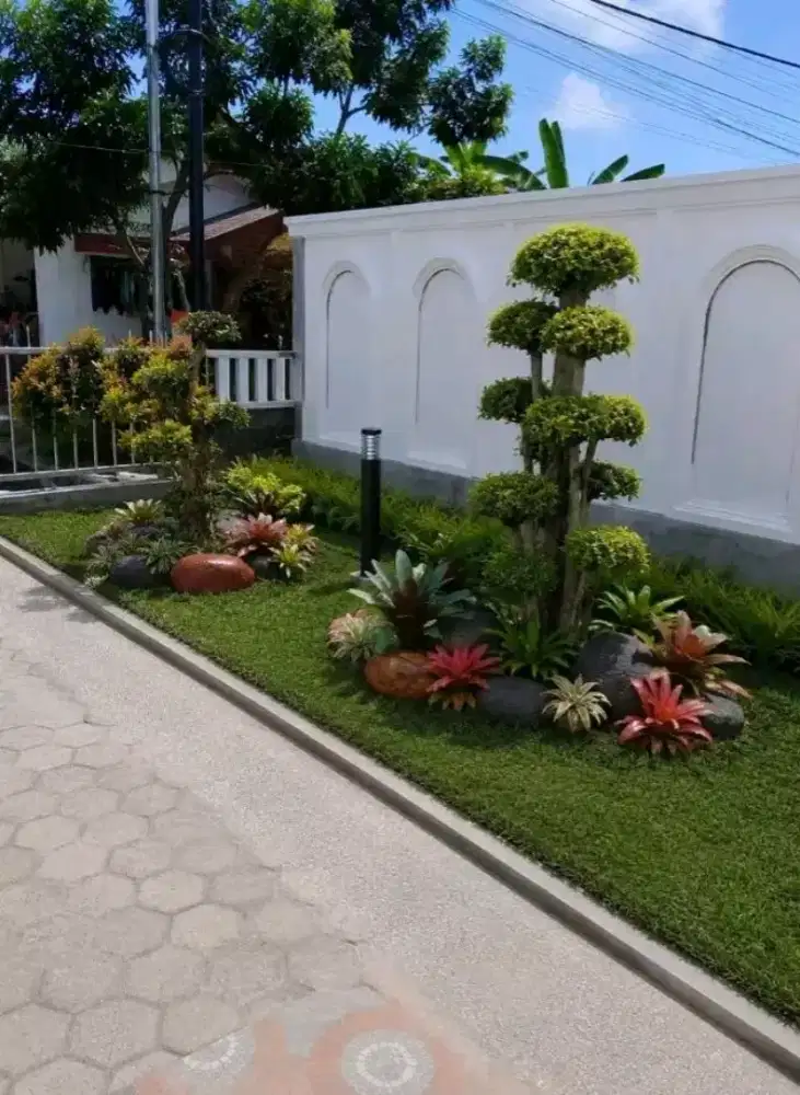 spesialis Taman dan kolam koi