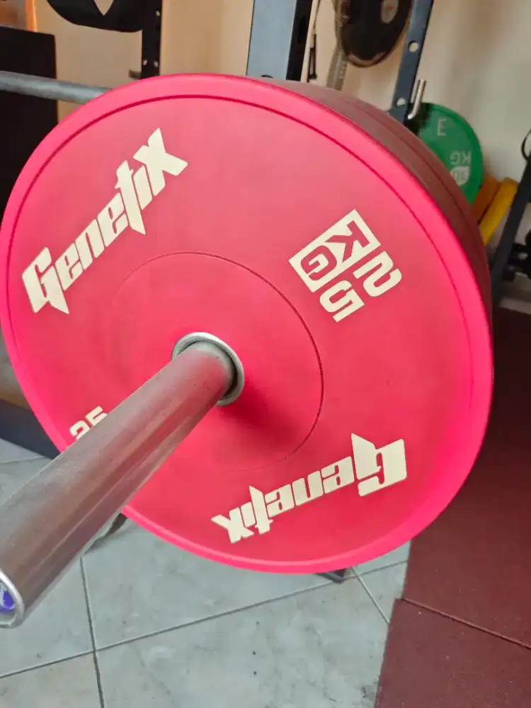 Bumper Plate 25 kg sepasang
