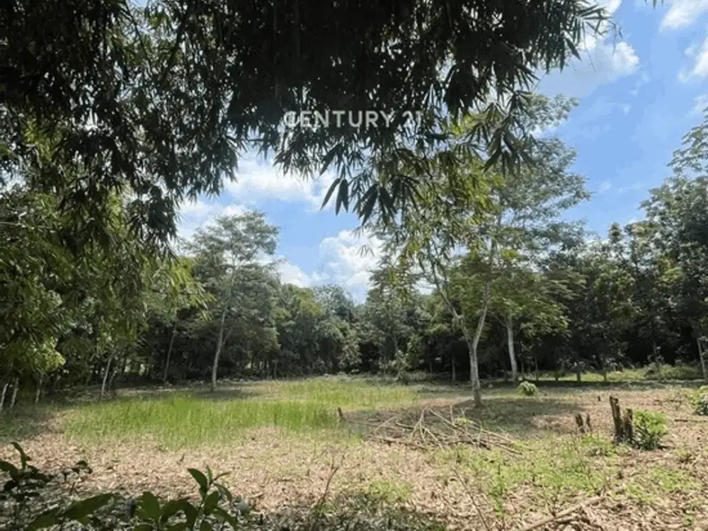 Tanah Strategis LT 1630m Dekat Kawasan Industri Cikampek