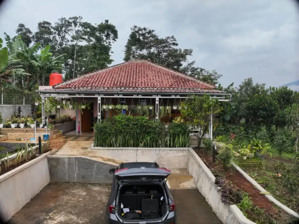 DIJUAL KEBUN PRODUKTIF + RUMAH PANGGUNG TERAWAT DI CIMANGGUNG SUMEDANG
