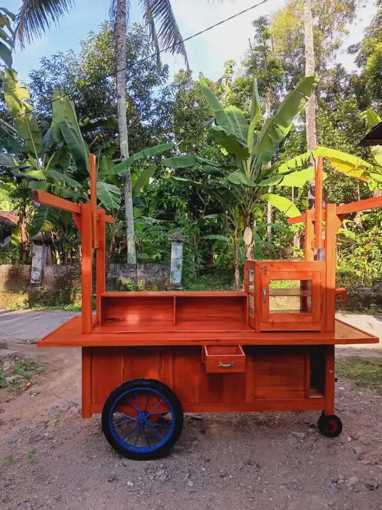 Gerobag pecel lele, gerobag angkringan dll