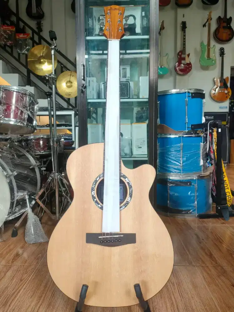 GITAR AKUSTIK DLUXE DF110