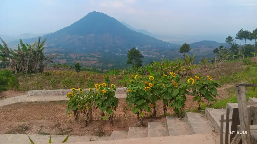 MURAH BANGET KEBUN PRODUKTIF NAGREG JARANG ADA