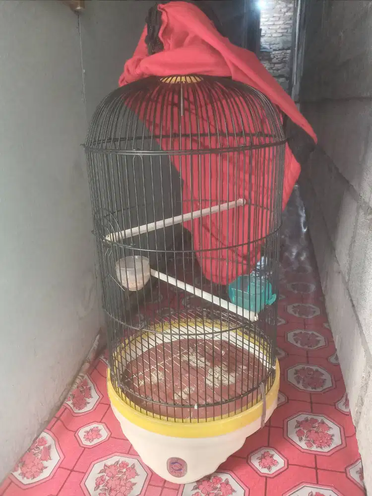 Kandang burung love bird ebod jaya