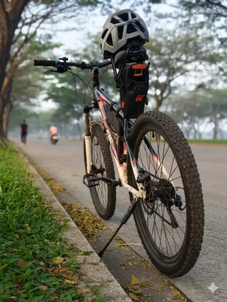 Sepeda gunung mtb pacific masseroni 3.0 alloy