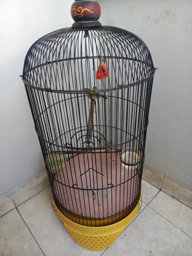 Jual Kandang+ Burung