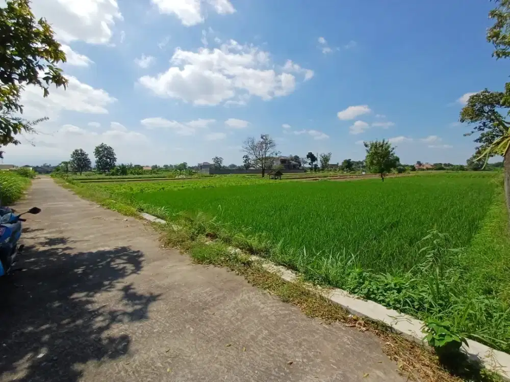 Sawah Strategis Dekat Pasar Kalasan