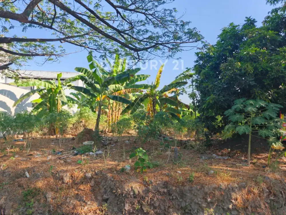 Lahan Kosong Cocok Untuk Rumah, Kantor Atau Tempat Usaha,