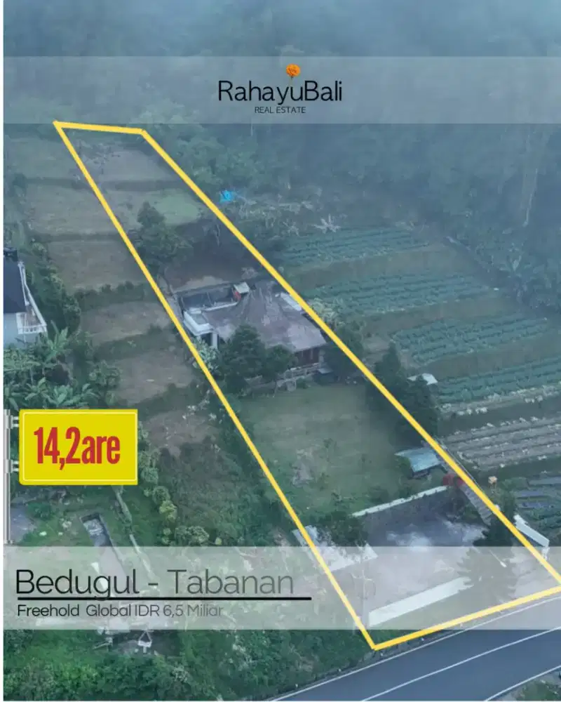 Premium Land bonus Villa in Bedugul