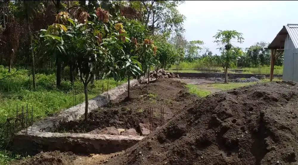 Tanah kebun siap bangun