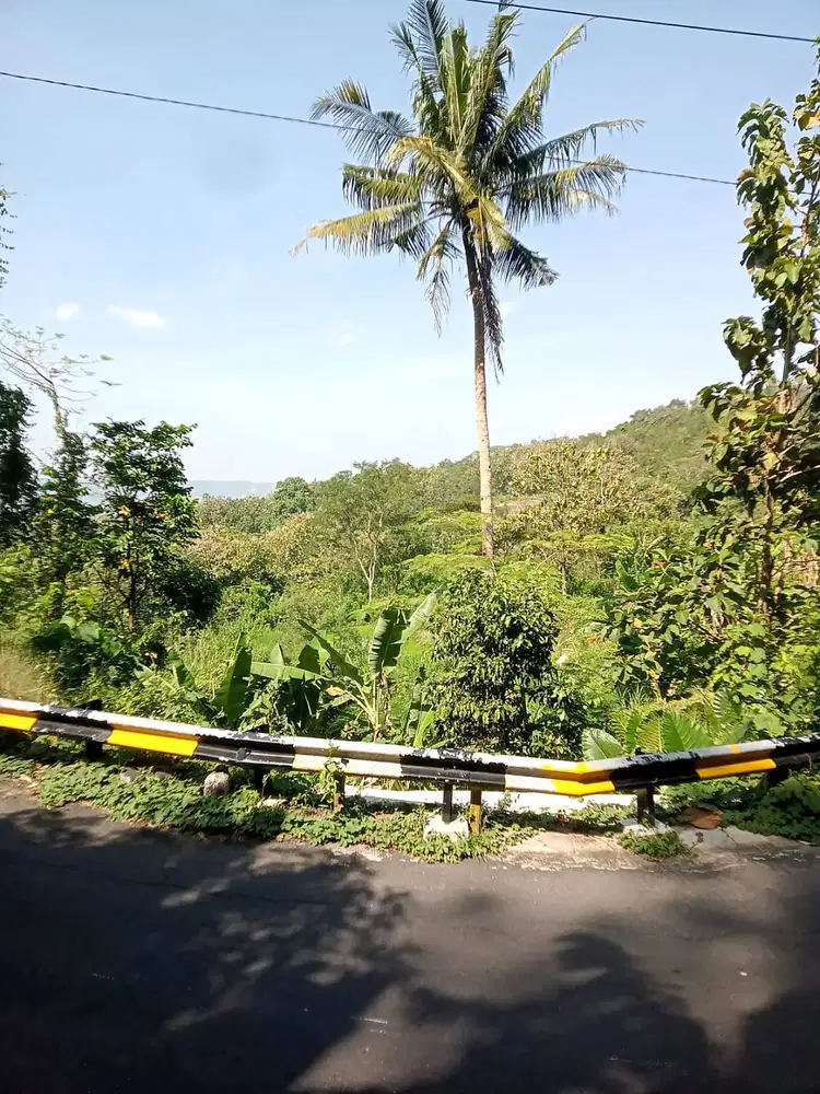 Tanah Sawah View Cantik dekat Kraton Ratu Boko