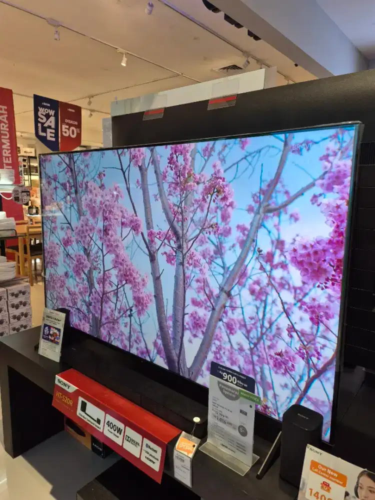 SONY GOOGLE TV 65INCH PROMO