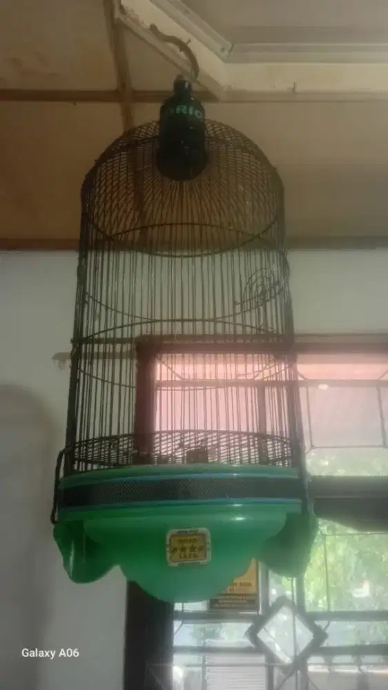 Sangkar love bird