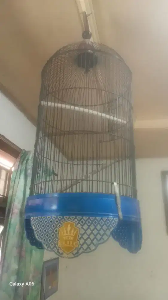 Sangkar burung lovebird