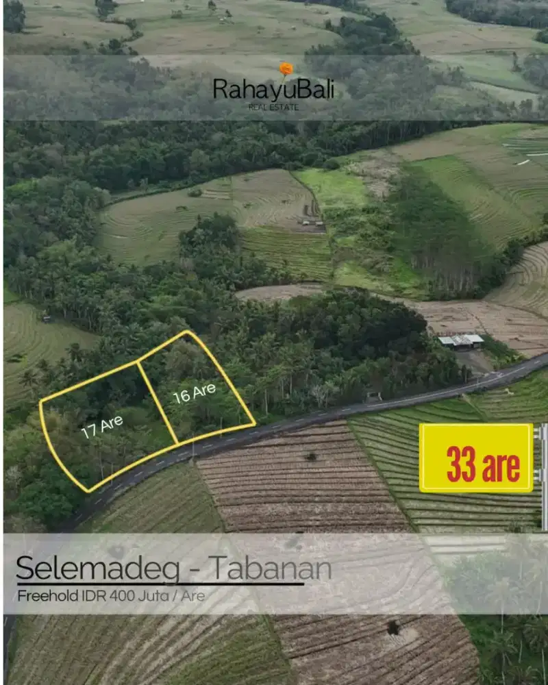 Strategic land view sawah di tabanan
