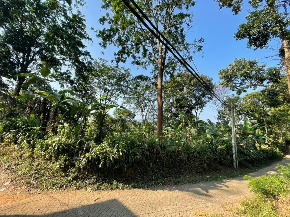 Dijual tanah milik sendiri pas perempatan
