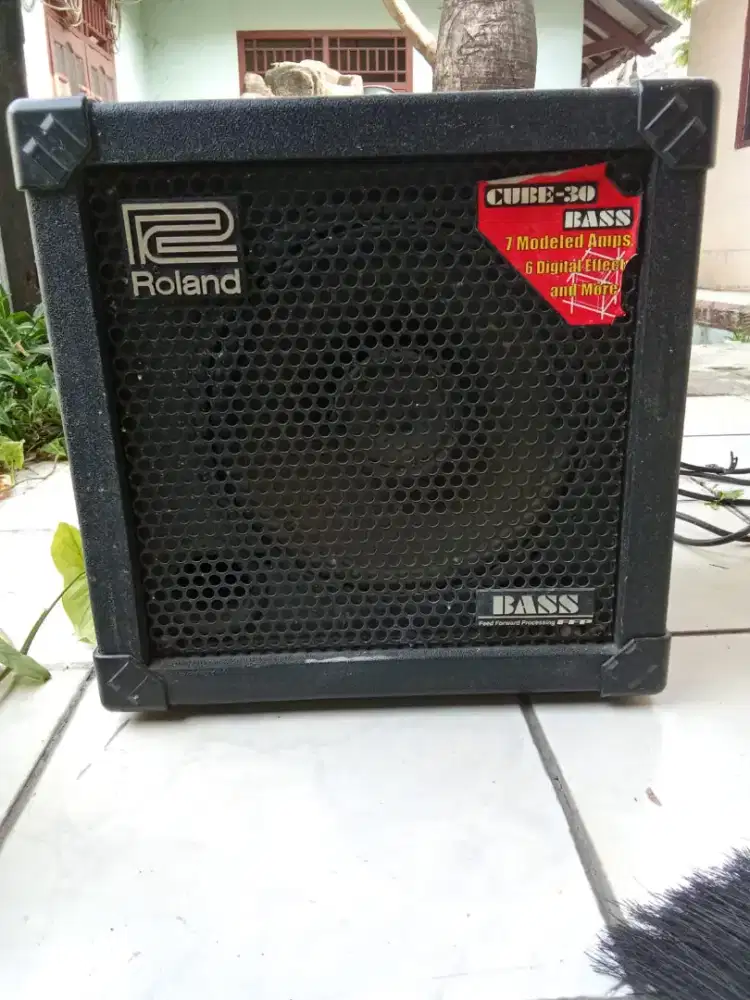 Roland Cube 30 Bass
