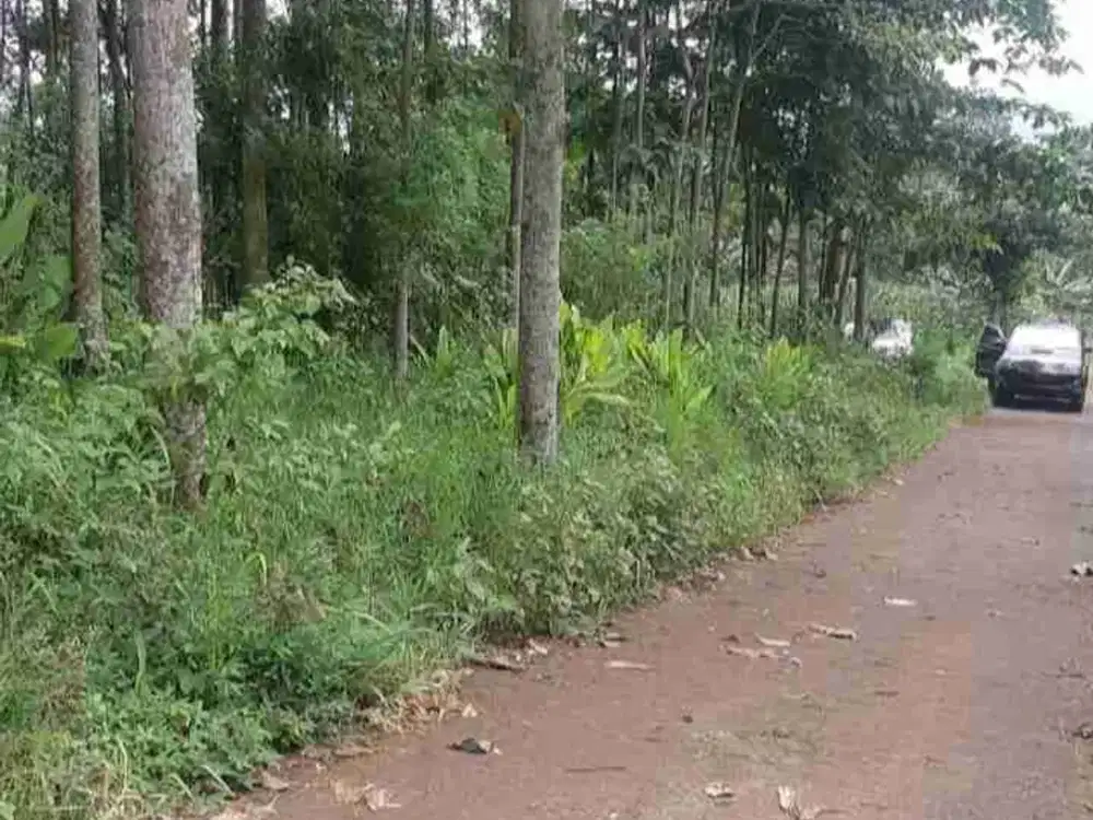 Di jual tanah kebun lokasi nagreg kab Bandung