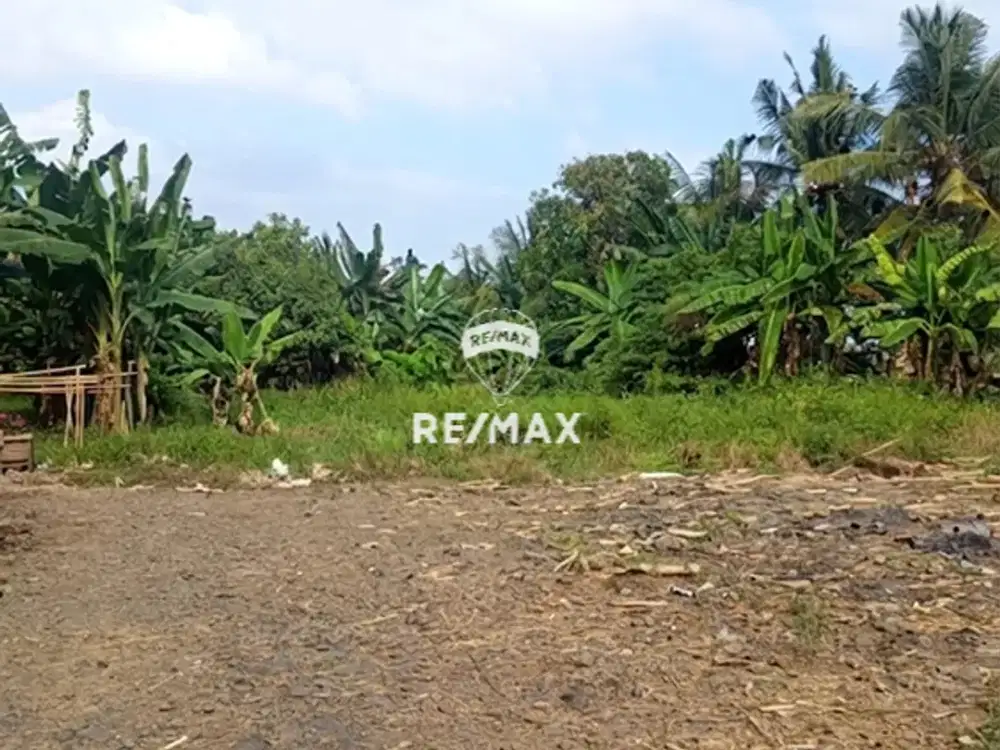 DIJUAL TANAH STRATEGIS SHM  Pakis – Banyuwangi